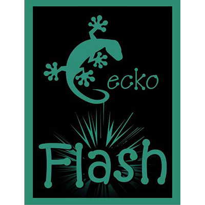 Gecko Flash